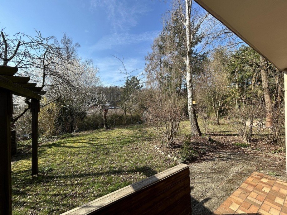 Blick von der Terrasse in den Garten Einfamilienhaus Salzgitter